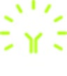 bulb01 bulb01