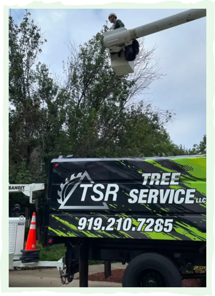 service 02